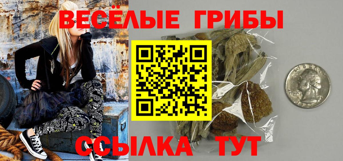 Михайловка  Галлюциногенные грибы прущие грибы  Вход с VPN 