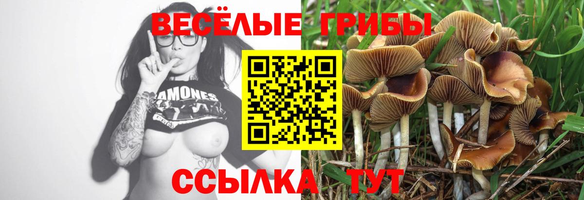 Псилоцибиновые грибы ЛСД Михайловка